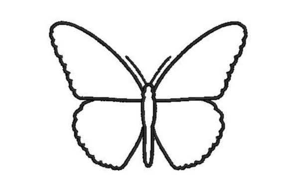 Reviewing Butterfly Line Drawing for Custom Gifts